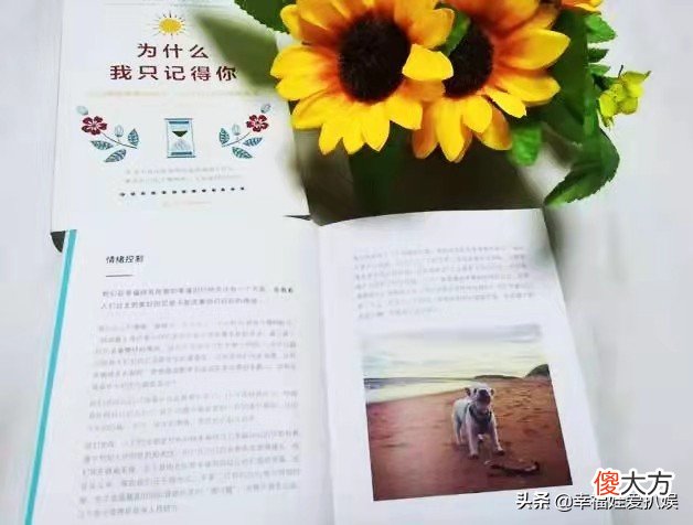 为什么我只记得你 为什么我只记得你,只因为
