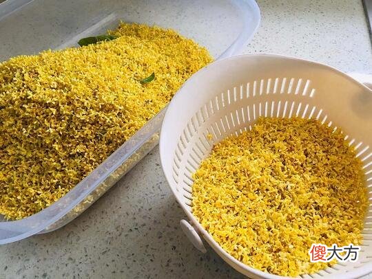 桂花放蜂蜜里面放多久不会坏 自己做的桂花蜜能放多久