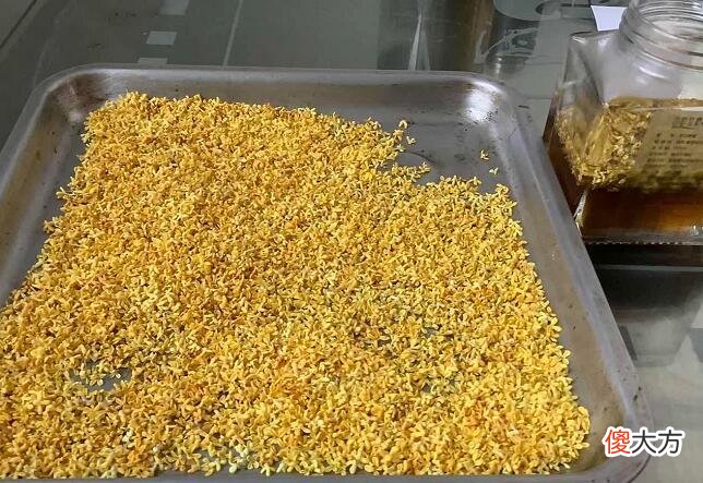 干桂花可以直接放蜂蜜里吗 干桂花和蜂蜜可以一起泡吗