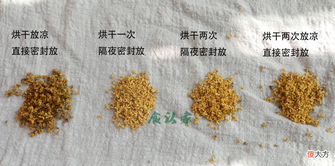 留住秋天的桂花香 秋日里的桂花香