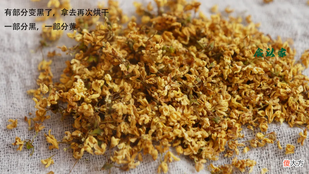 留住秋天的桂花香 秋日里的桂花香
