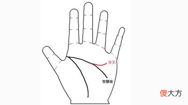 感情线分叉到智慧线会怎样