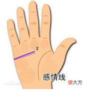 感情线末端分叉代表什么