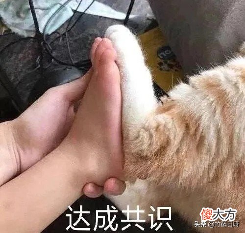 大学生线上兼职没头绪 大学生怎么线上兼职