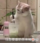 大学生线上兼职没头绪 大学生怎么线上兼职