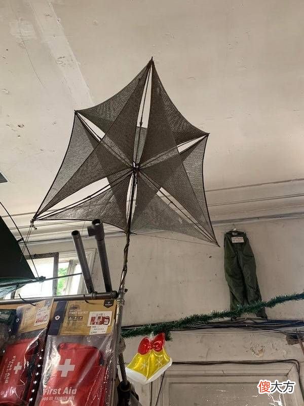 网友果然什么都知道 万能网友什么都知道