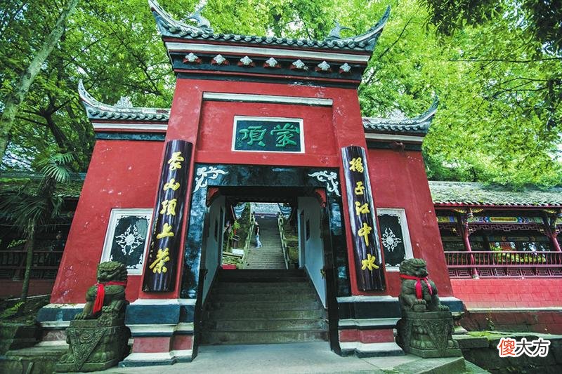 四川藏茶的前世今生 四川藏茶特点
