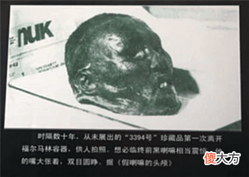 【爱历史】中国最嚣张的悍匪, 被中俄两国联手剿灭, 头颅被存博物馆, 他是谁