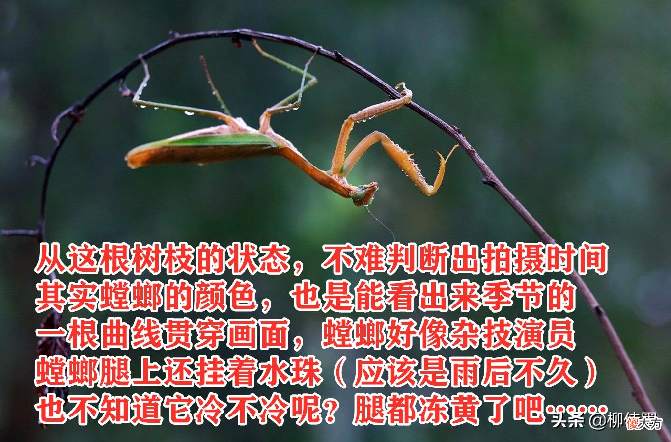 拍摄秋天有绝招 怎么拍秋天
