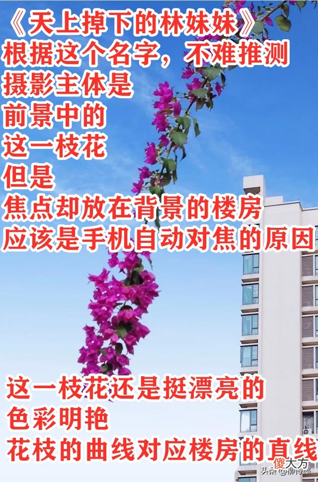 拍摄秋天有绝招 怎么拍秋天