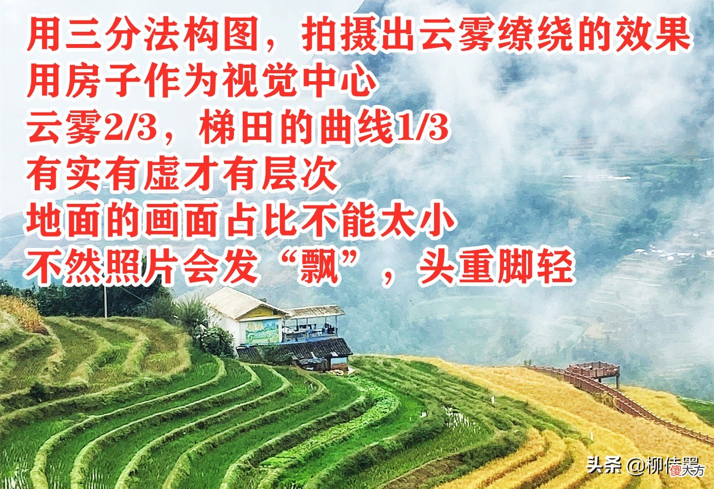 拍摄秋天有绝招 怎么拍秋天