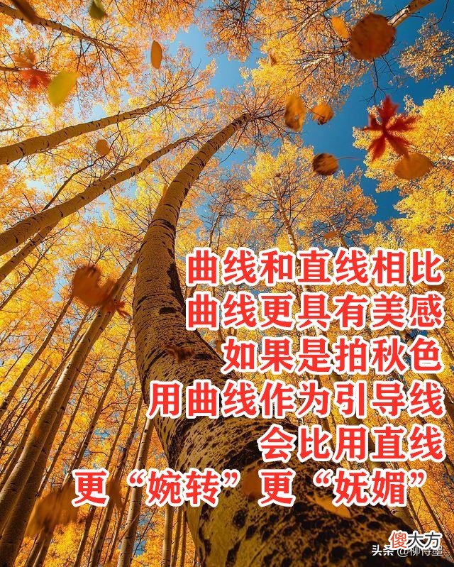 拍摄秋天有绝招 怎么拍秋天