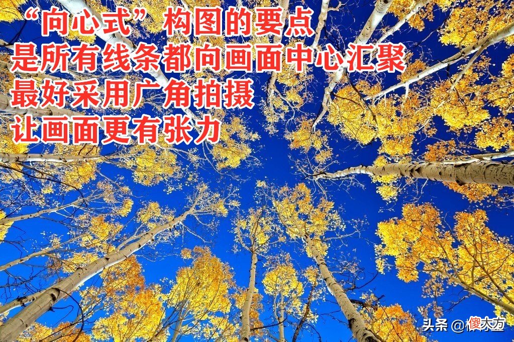拍摄秋天有绝招 怎么拍秋天