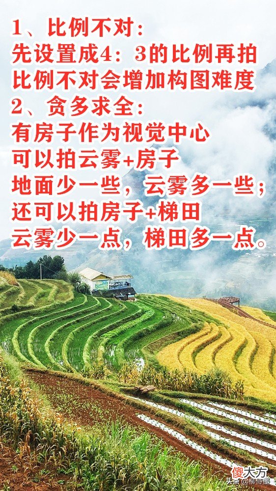 拍摄秋天有绝招 怎么拍秋天