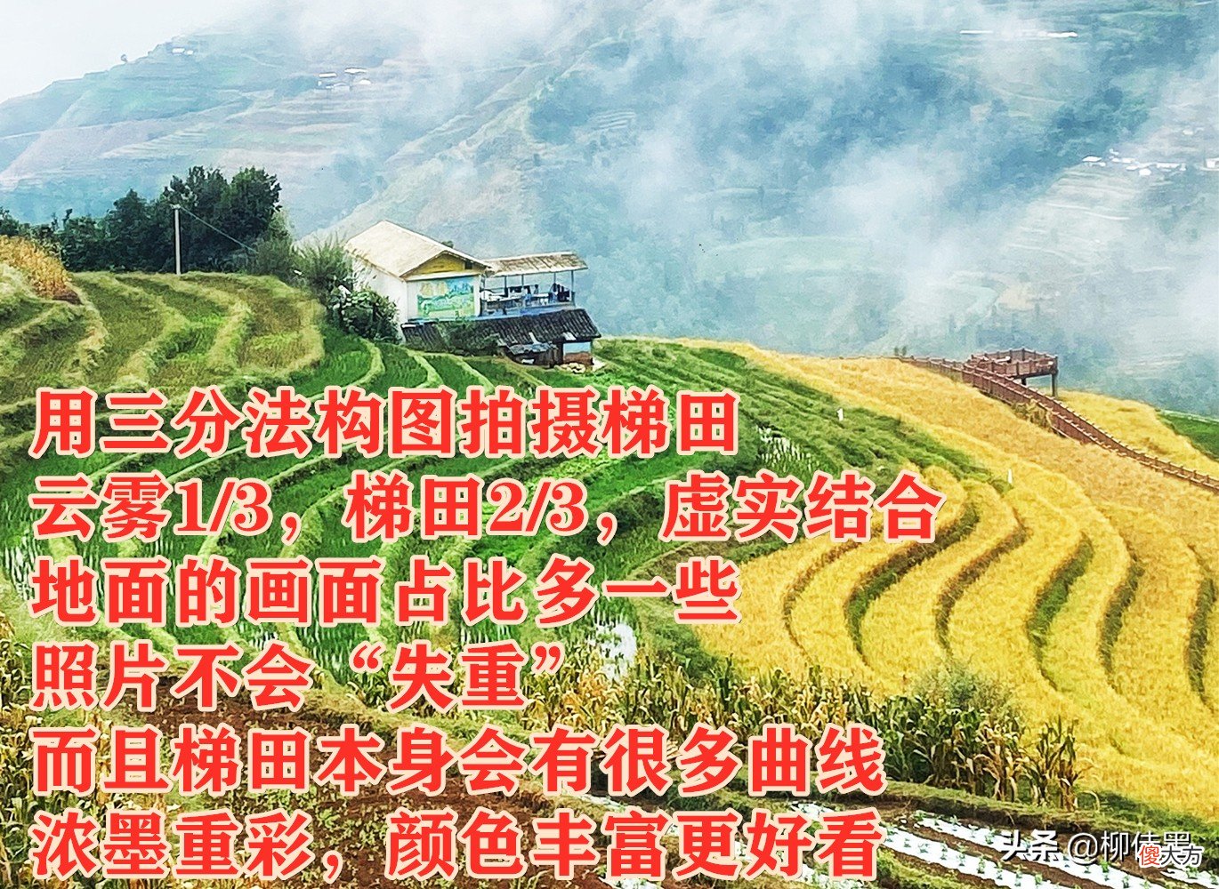 拍摄秋天有绝招 怎么拍秋天