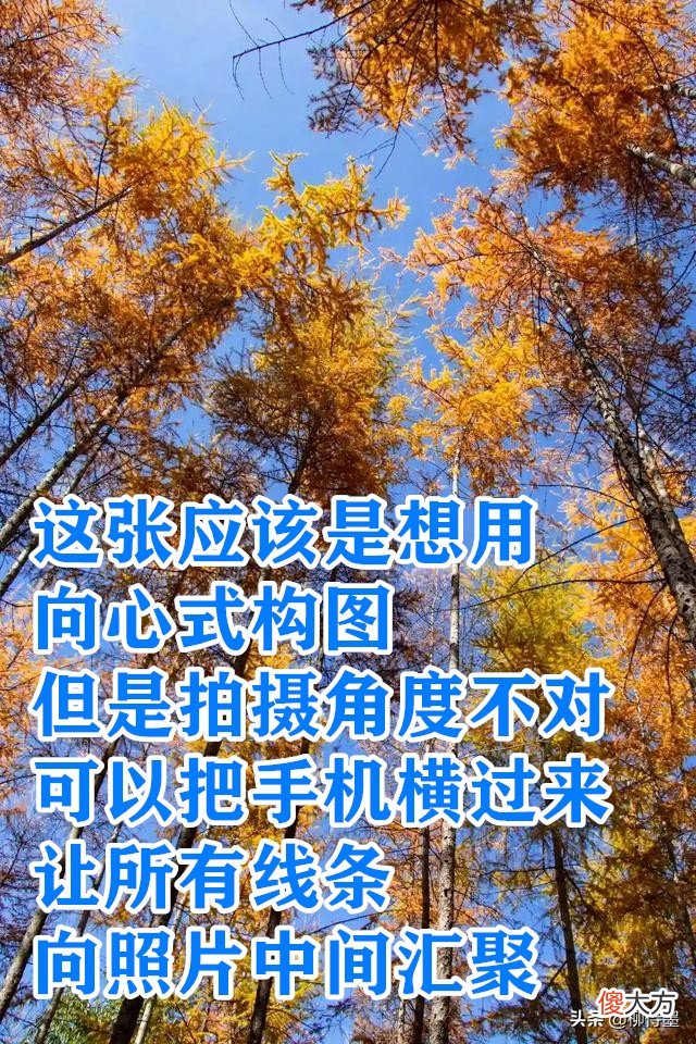 拍摄秋天有绝招 怎么拍秋天