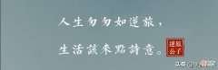 常喝的茉莉花茶 总喝茉莉花茶