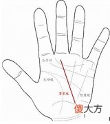 事业线从手边向上延伸好不好？