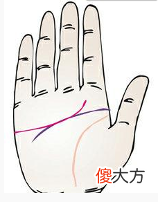 感情线与智慧线重叠预示着什么？