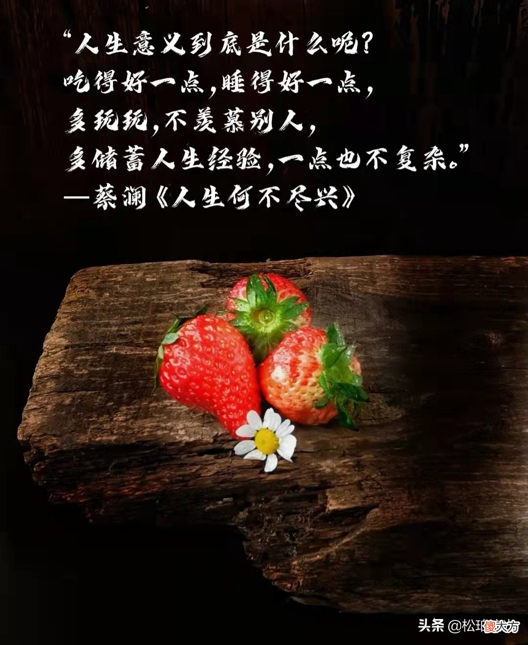 裹满岁月胞浆的一生，尽心而为，尽兴而活