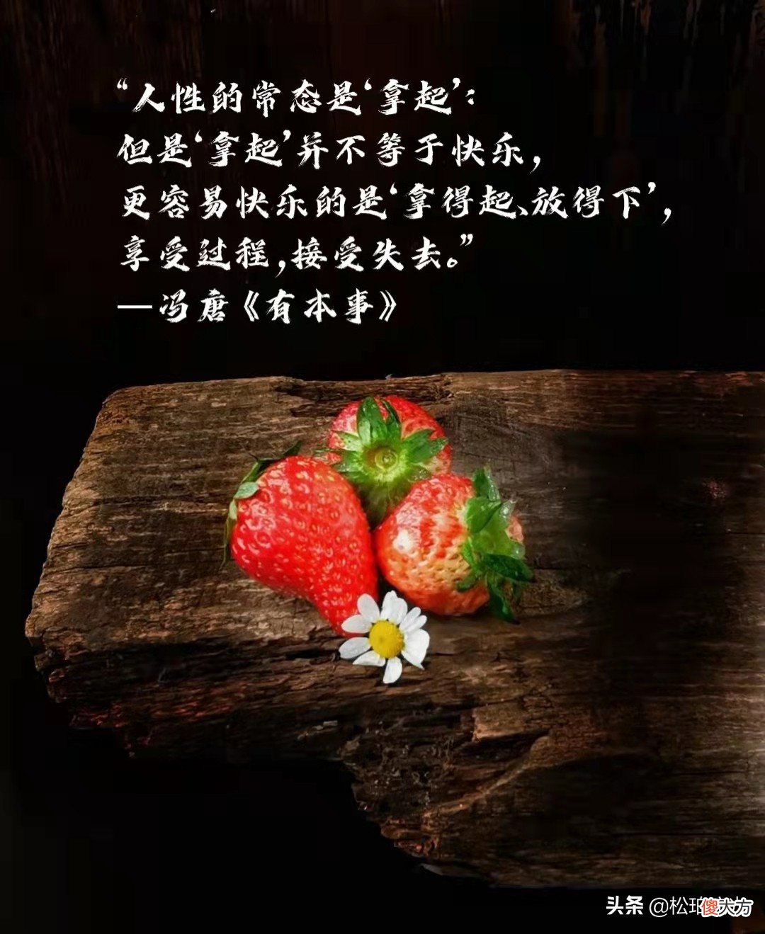 裹满岁月胞浆的一生，尽心而为，尽兴而活