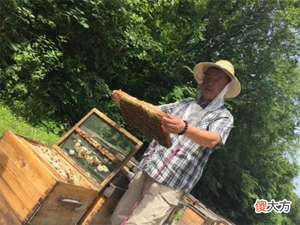 蜂蜜变颜色是变质了么 蜂蜜如果变质是啥样的