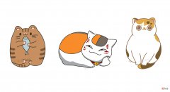 详细图文讲解三款猫咪的画法 猫咪 画法