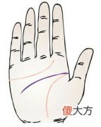 智慧线在感情线及生命线的中间相关详解！