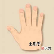 篦形手