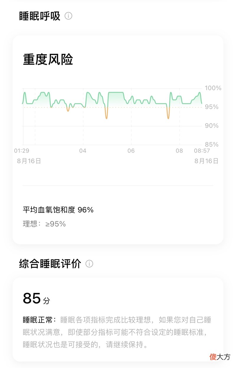 能够替代手机的安卓表皇