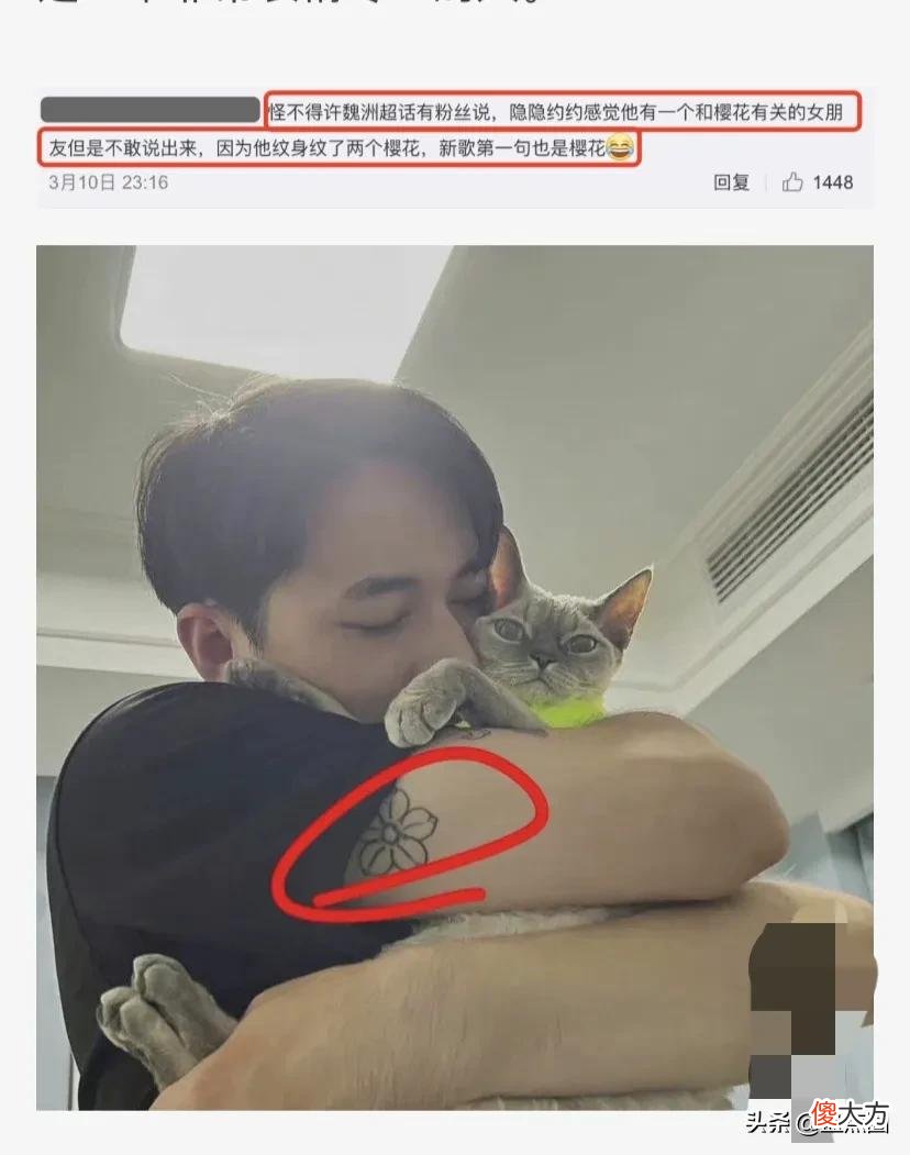 CP粉彻底悟了！许魏洲老婆真名曝光，那些嗑生嗑死的细节都是巧合