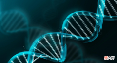 科学家提出大胆设想：人体第17号染色体上，有上帝留下的禁令