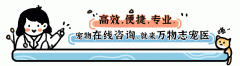 兔子的尾巴长不了 兔子的尾巴长不了造句
