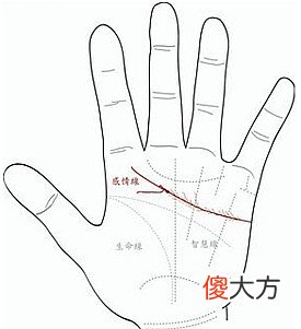 感情线复杂，代表感情很坎坷吗？