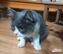 去掉金属扣的铜锈 金属扣上的锈渍怎么去