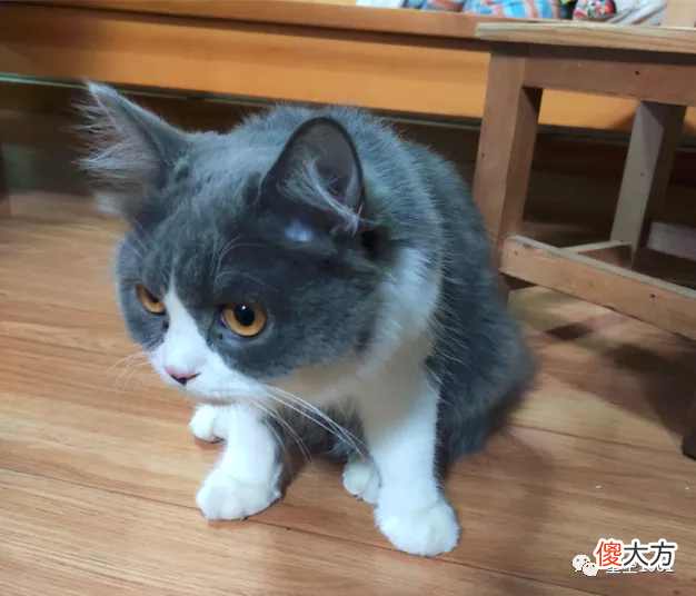 去掉金属扣的铜锈 金属扣上的锈渍怎么去