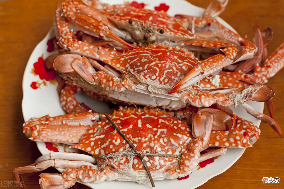 为什么会痛风 为什么会痛风的原因