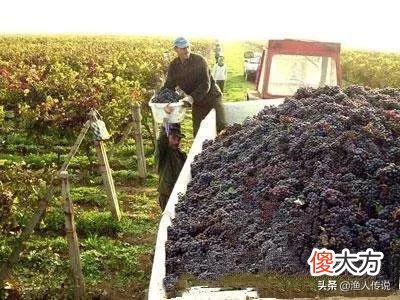 带你看看真实的罗马尼亚 罗马尼亚?