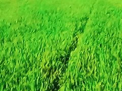 退休才是人生高光时刻 退休才是精彩人生的开始