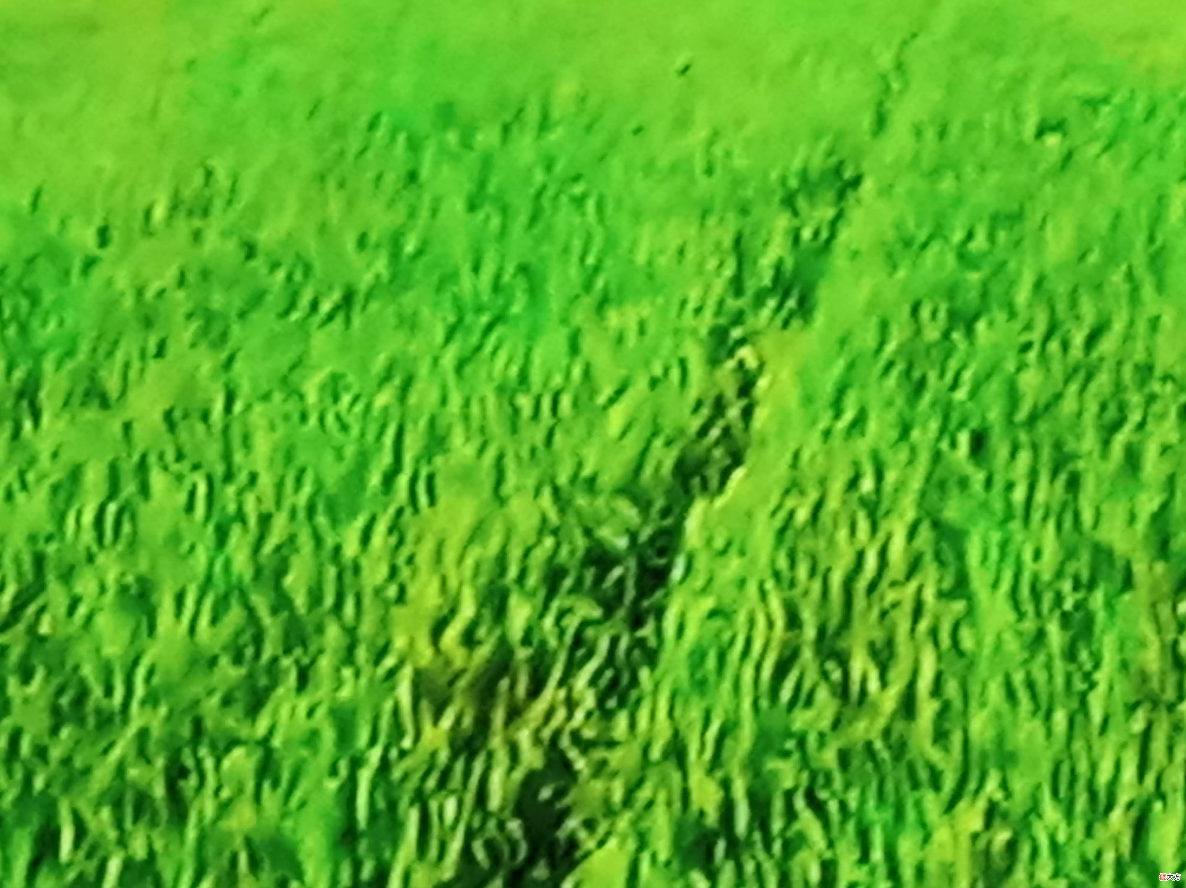 退休才是人生高光时刻 退休才是精彩人生的开始