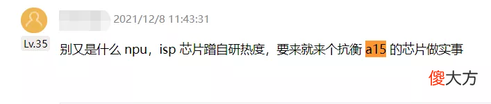 国产芯片来了个狼人
