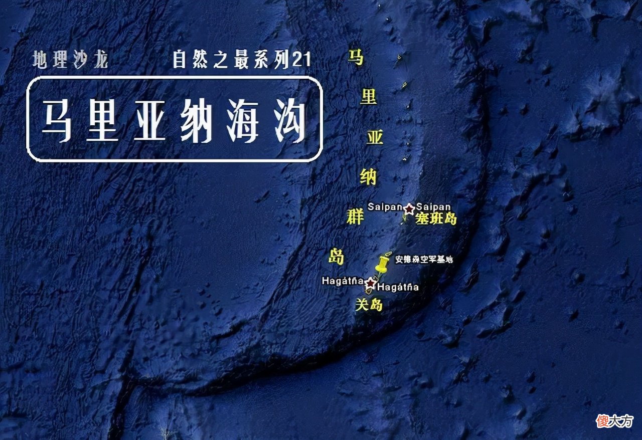 国产芯片来了个狼人