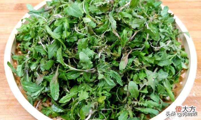别忘了吃荠菜 吃荠菜怎么吃
