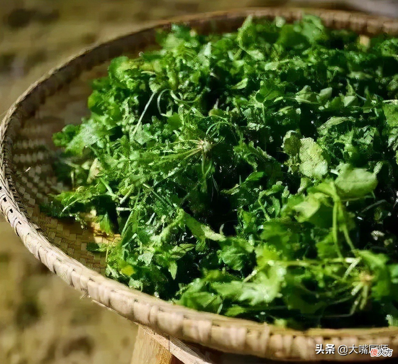它是野菜之王 什么是野菜之王