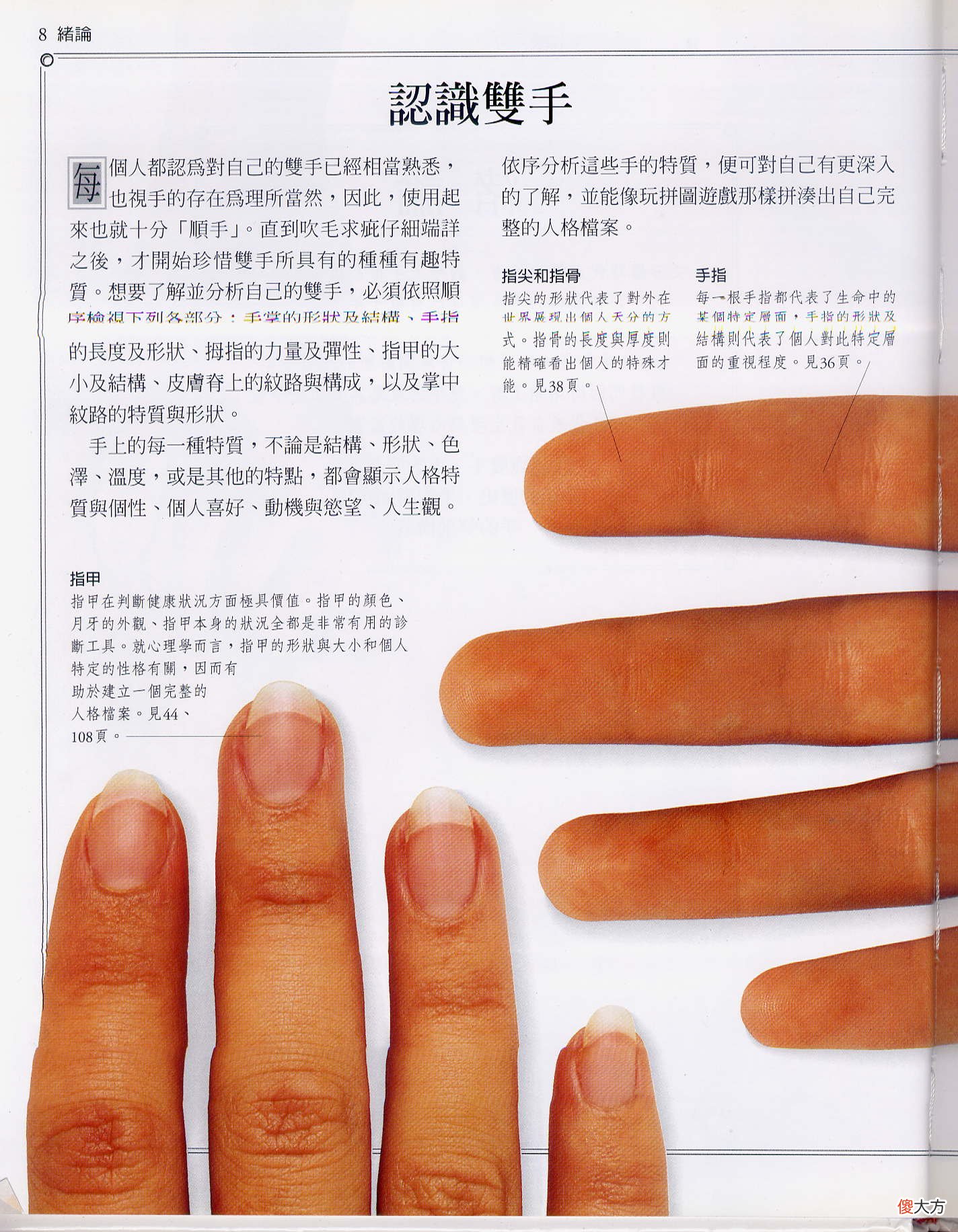 《手相学习百科》-认识双手