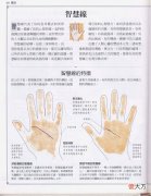 《手相学习百科》-智慧线