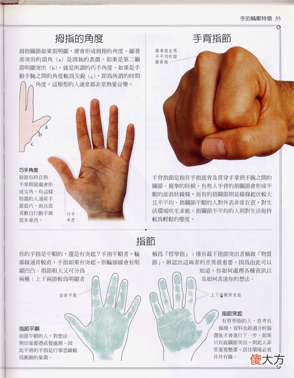 《手相学习百科》-手的轮廓特征