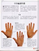 《手相学习百科》-手的轮廓特征