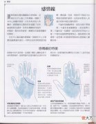《手相学习百科》-感情线