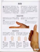 《手相学习百科》-拇指